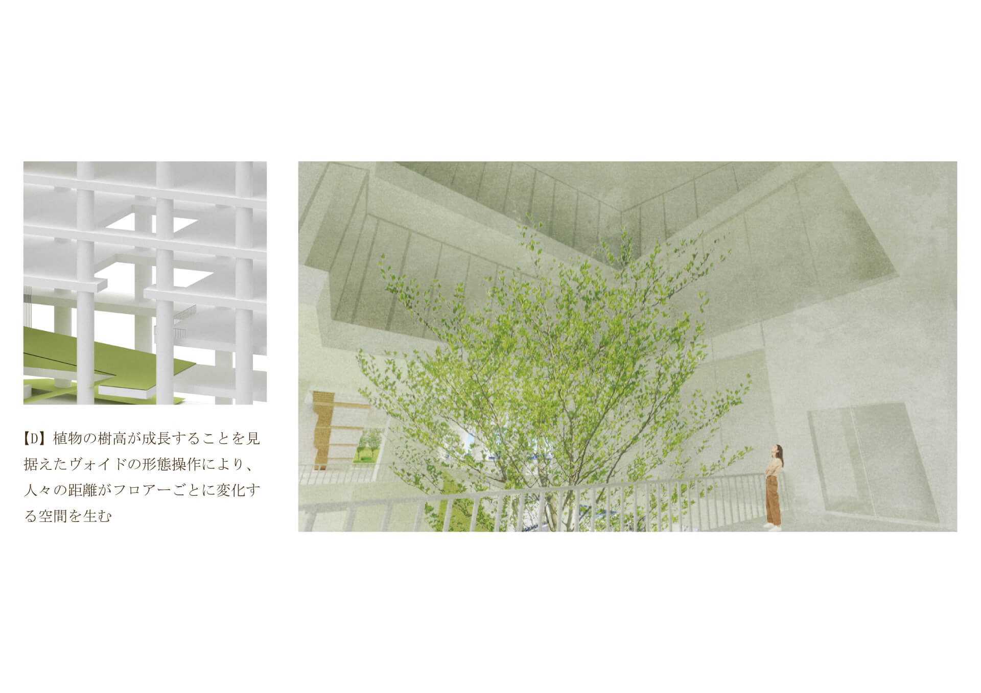 四次元緑化建築 -植生が生み出す植物と建築の新たな境界--10