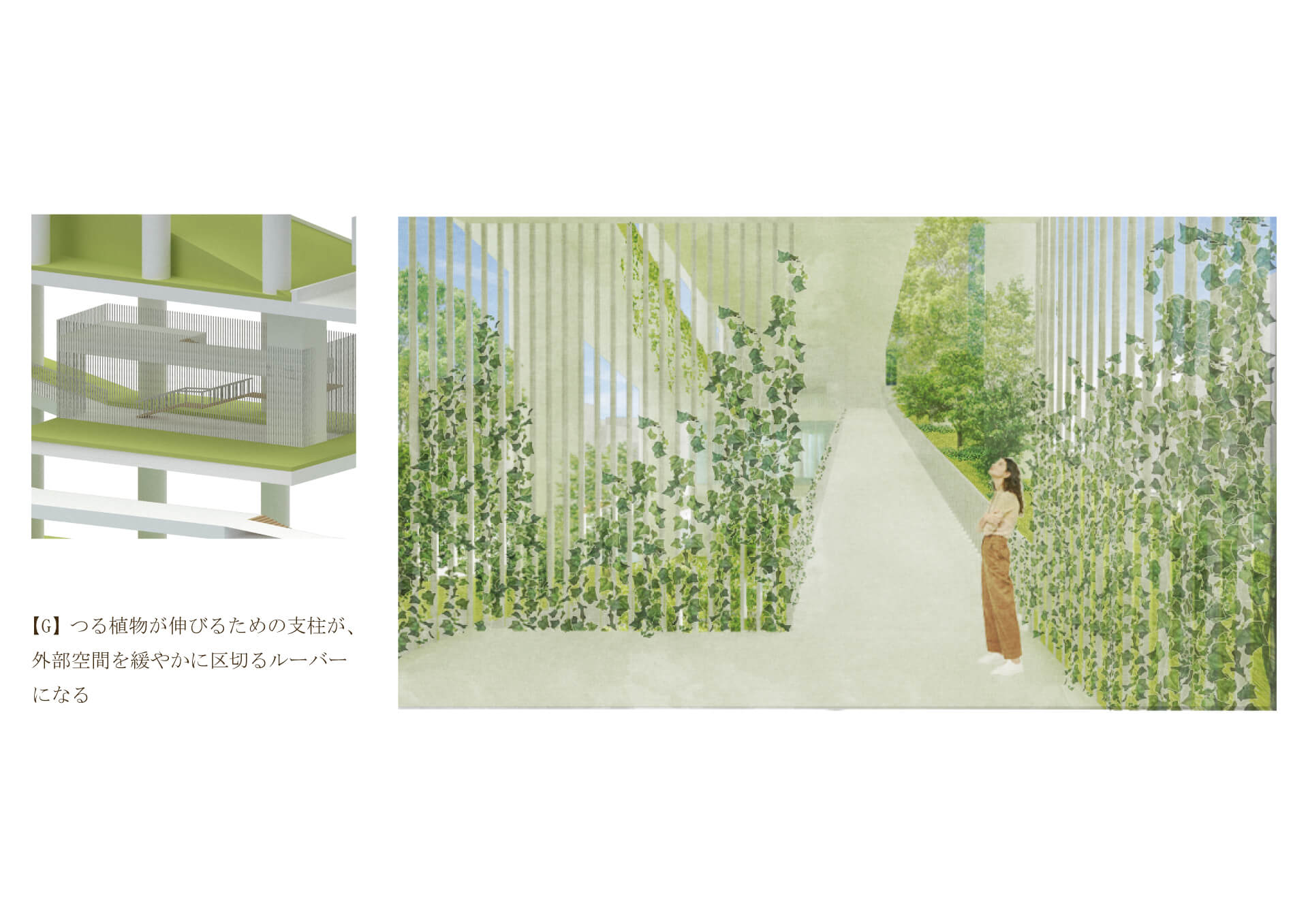 四次元緑化建築 -植生が生み出す植物と建築の新たな境界--12