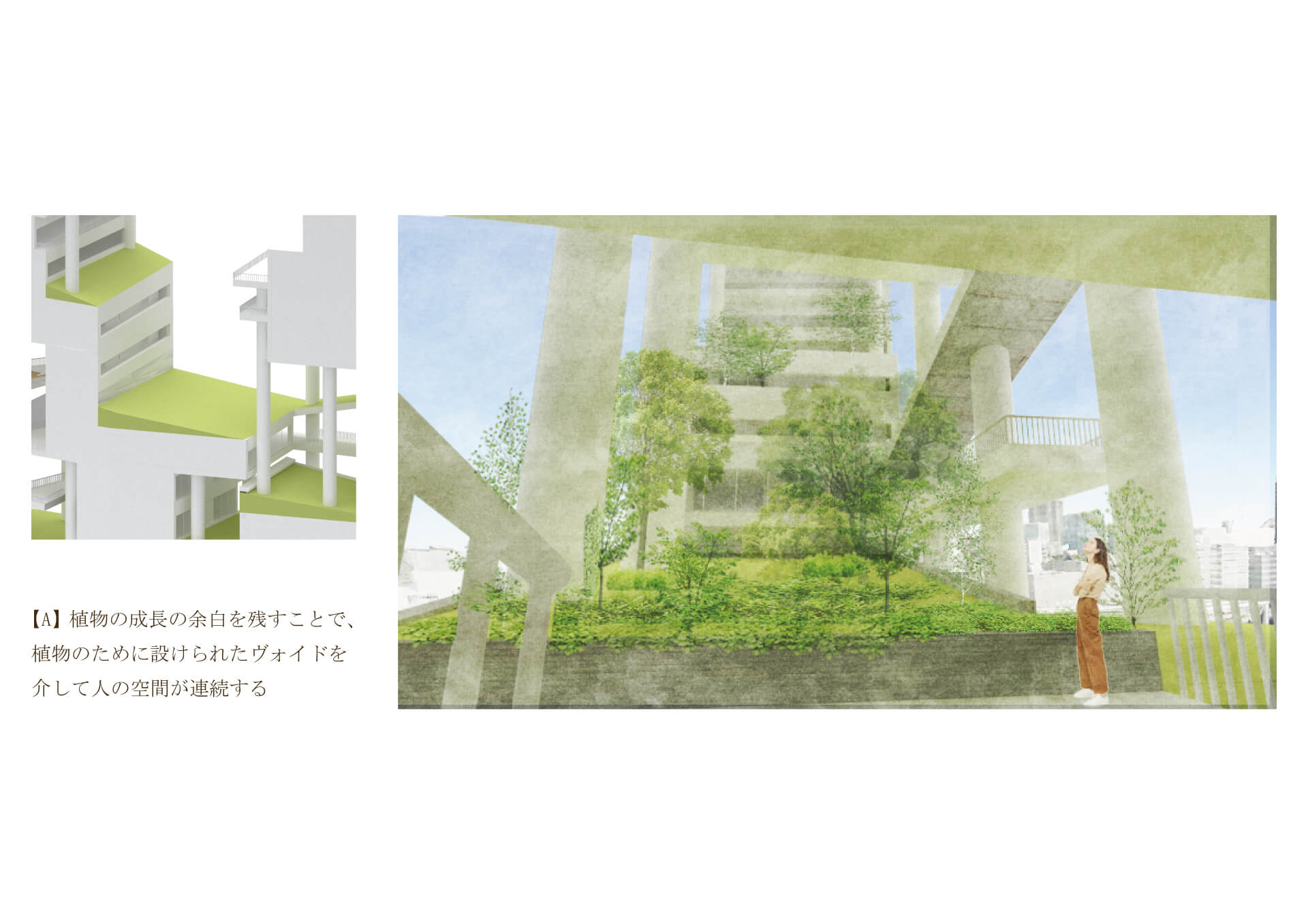 四次元緑化建築 -植生が生み出す植物と建築の新たな境界--7