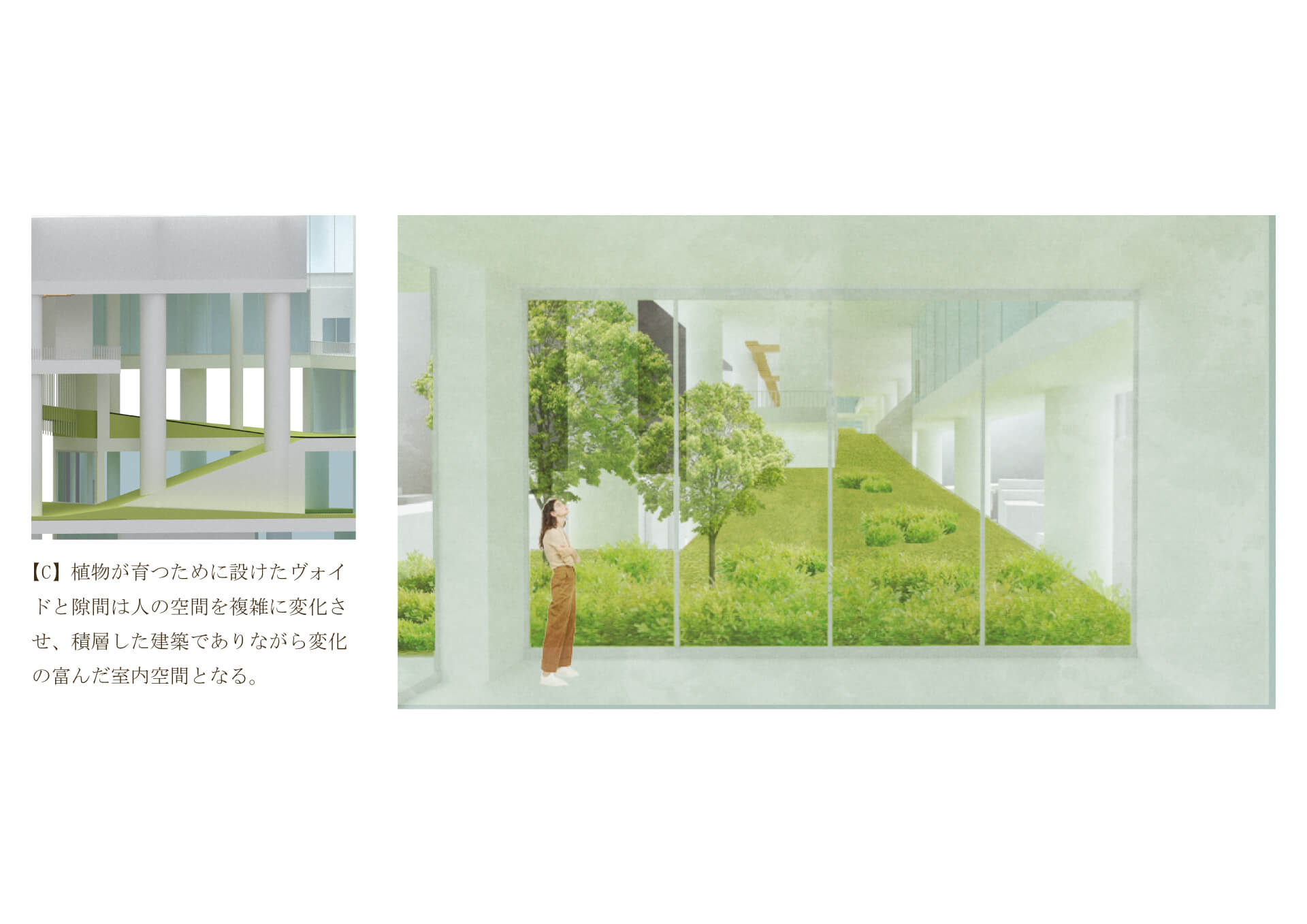 四次元緑化建築 -植生が生み出す植物と建築の新たな境界--9